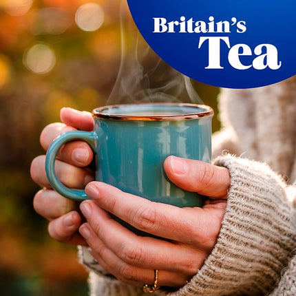 Tetley Original Tea Bags 6 x 160 Bags | Bulk Black Tea Bags for Catering & Hospitality