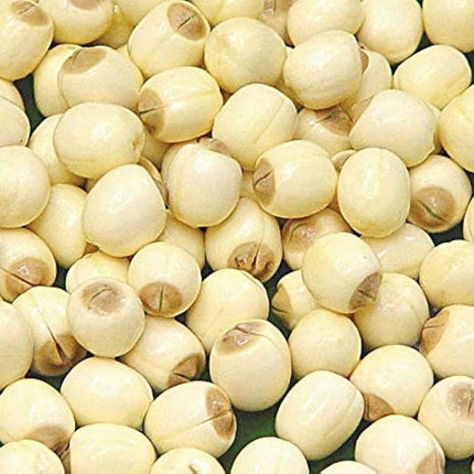 Dried Lotus Seeds 80g | Edible Lotus Seeds in Resealable Bag for Snacking, Desserts & Asian Cooking