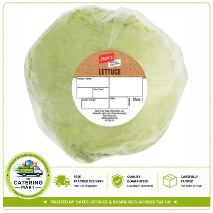 Jack's Iceberg Lettuce Single fresh crisp whole lettuce for salads, sandwiches, burgers, wraps and catering