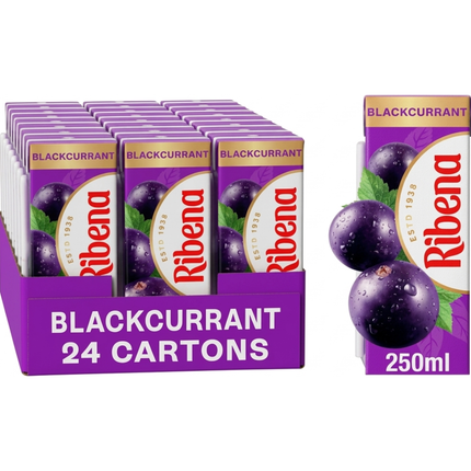 Ribena Blackcurrant Juice Drink wholesale case of 24 x 250ml cartons.