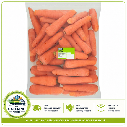 Farm Fresh Large Carrots 15kg bulk wholesale fresh carrots for catering