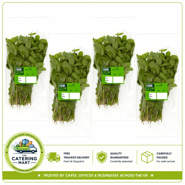 Farm Fresh Mint 4 x 100g bulk wholesale fresh mint leaves for catering kitchens