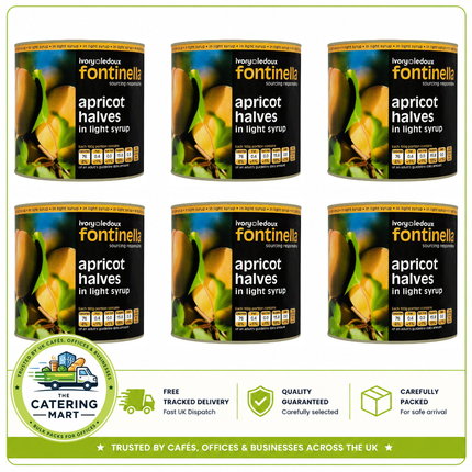 Fontinella Apricot Halves in Light Syrup wholesale case containing 6 x 2.5kg cans