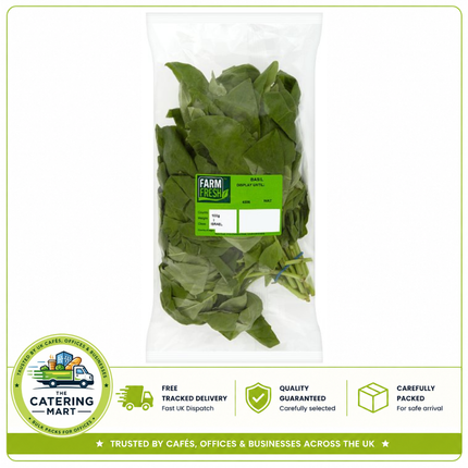 Farm Fresh Basil 100g pack of fresh aromatic basil leaves for wholesale catering