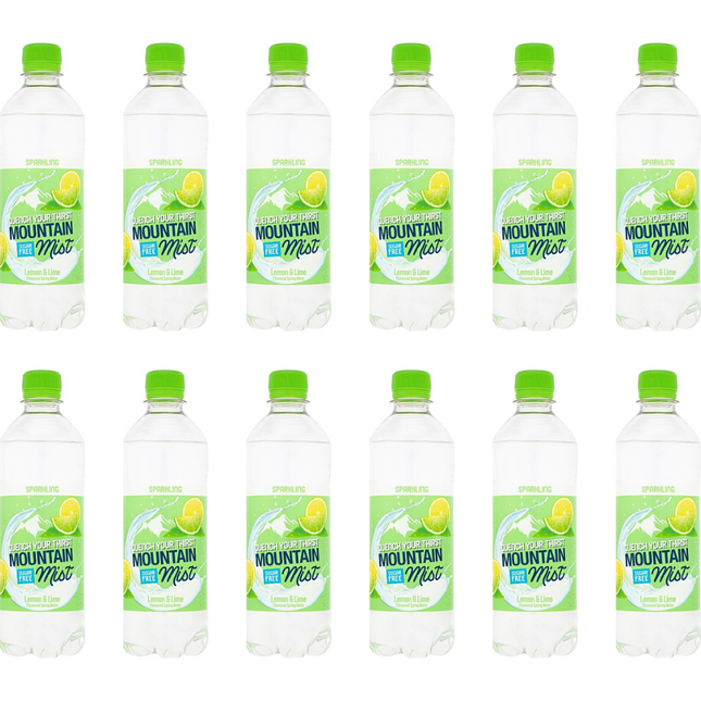 Mountain Mist Lemon and Lime Flavoured Sparkling Spring Water wholesale case containing 12 x 500ml bottles.